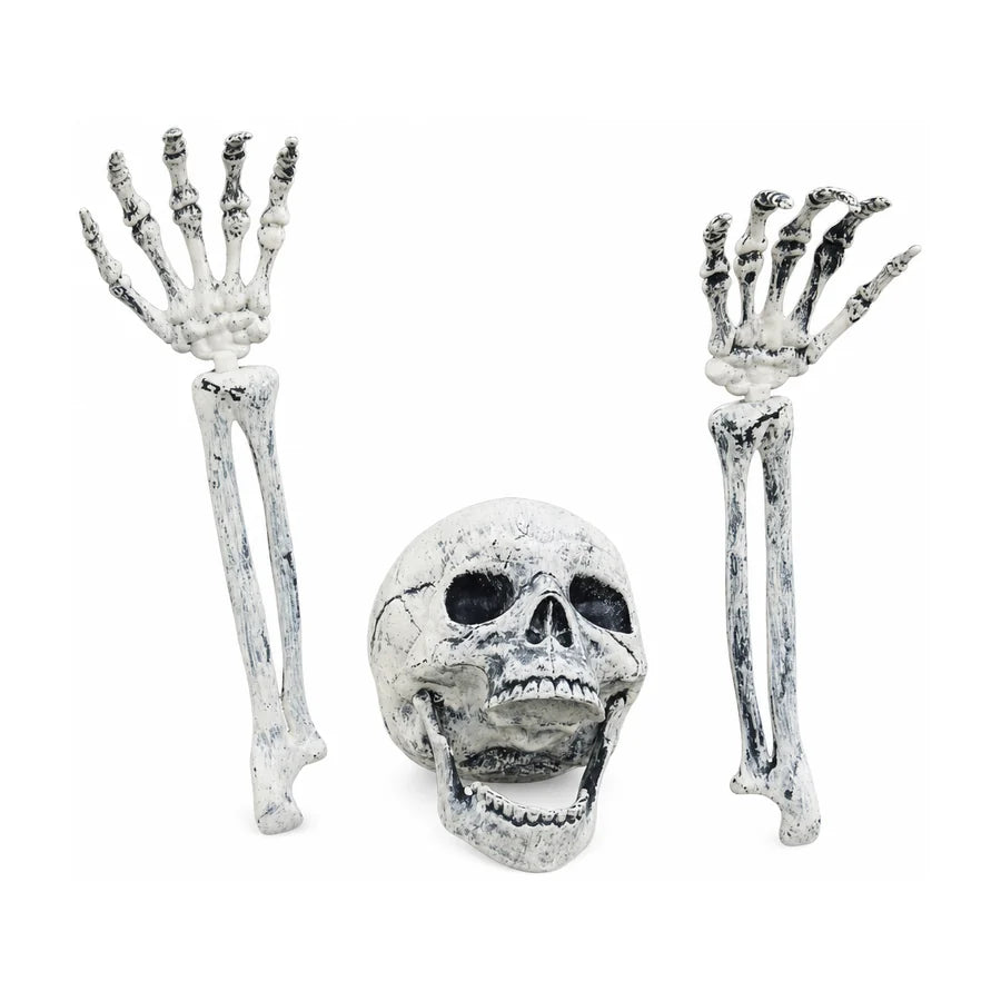 Ashgrave Skeleton, studio packshot on white