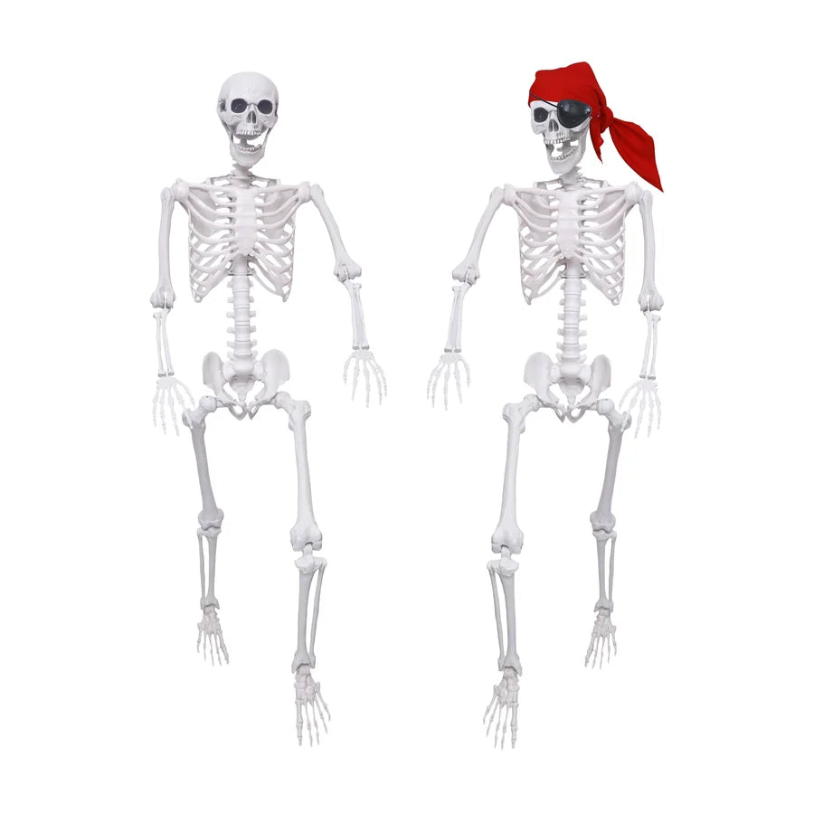 Bramblehook 5.4 ft Skeleton, studio packshot on white