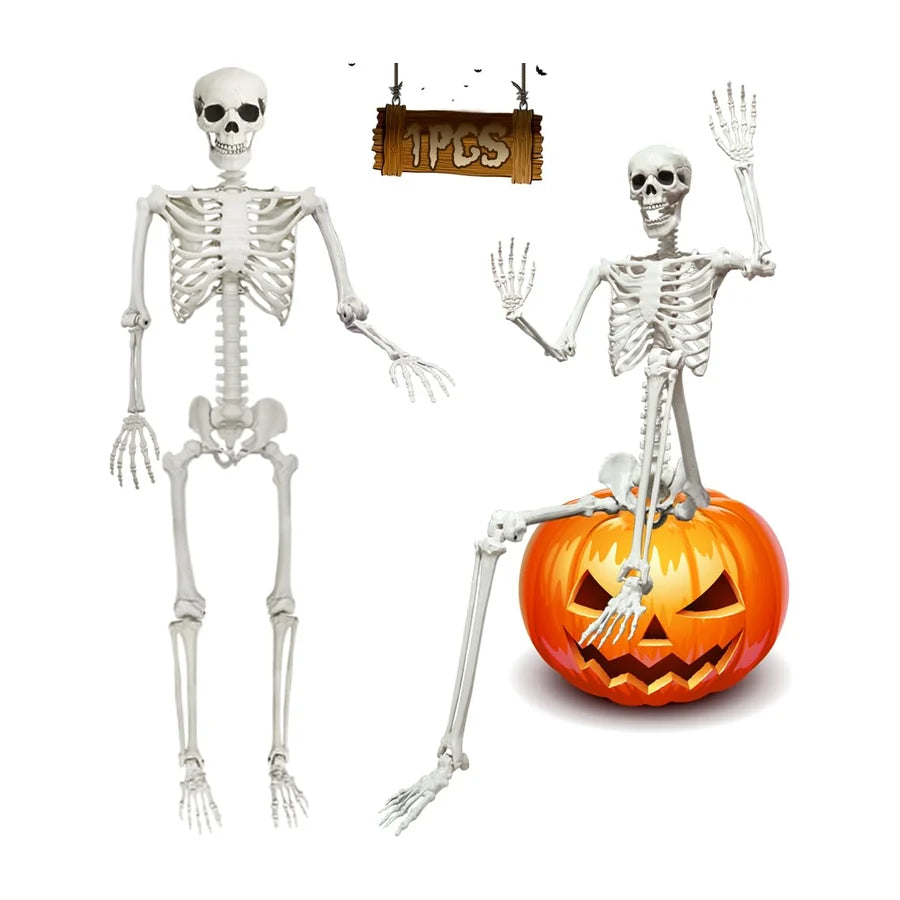 Gravesend 5.9 ft Skeleton, studio packshot on white
