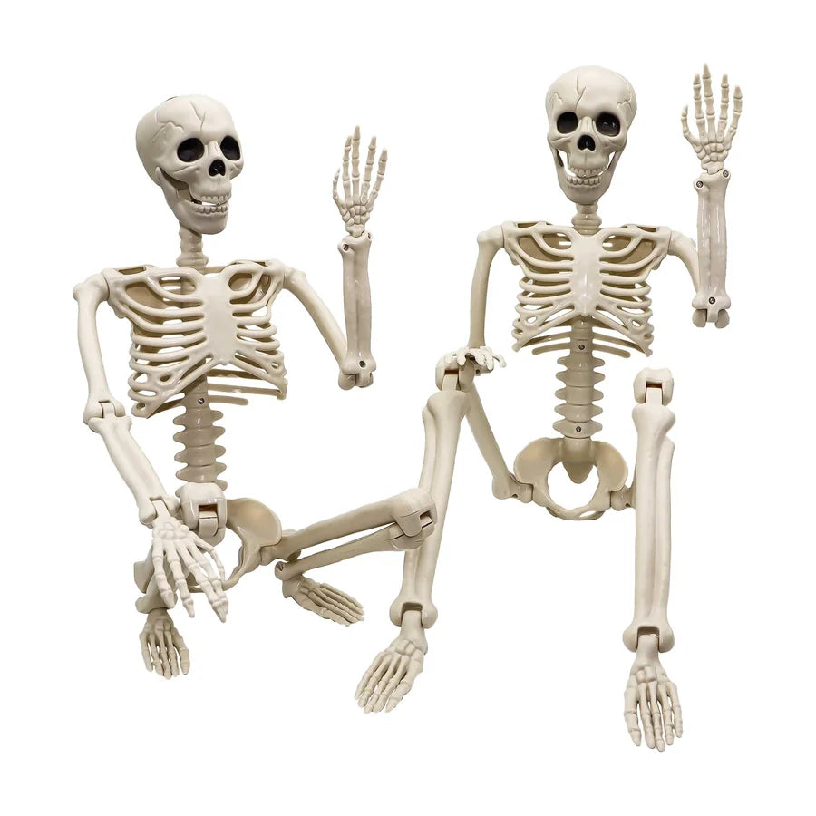 Ravenmoor 3 ft Skeleton, studio packshot on white