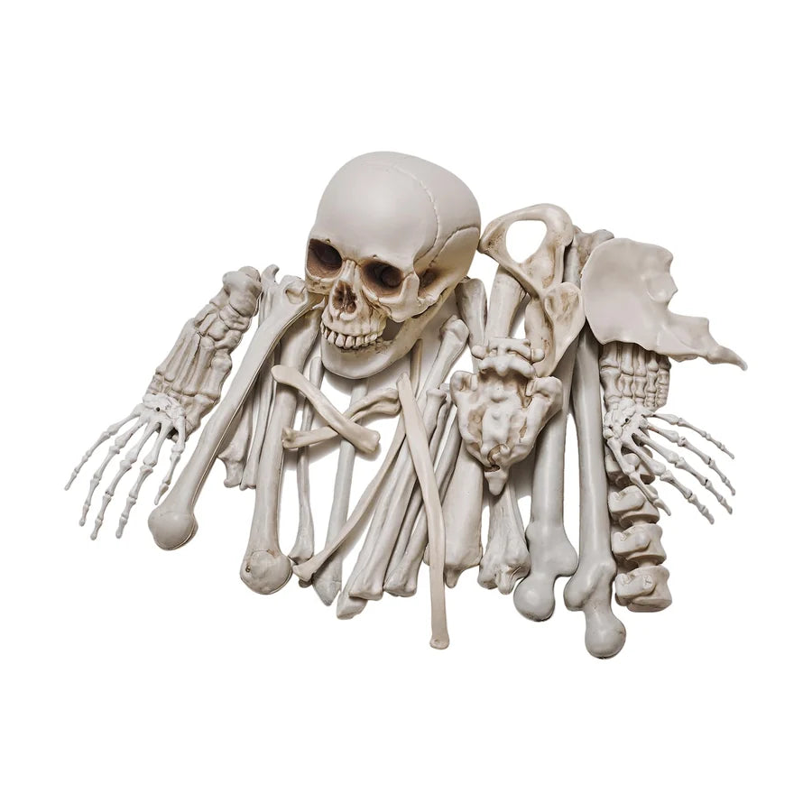 Nightfell Skeleton, studio packshot on white