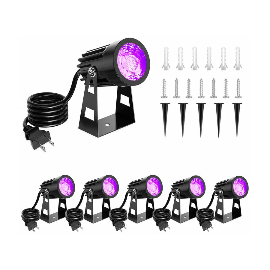 Emberline Spotlight, 6 pack, studio packshot on white