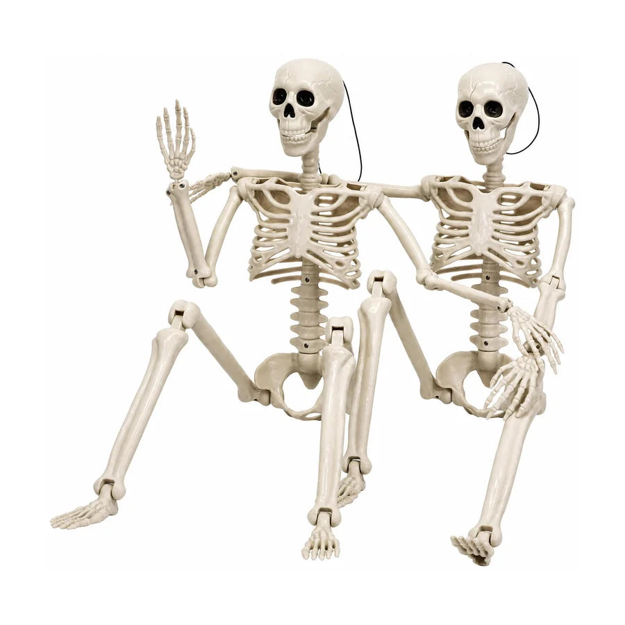 Marrowgate Skeleton, studio packshot on white
