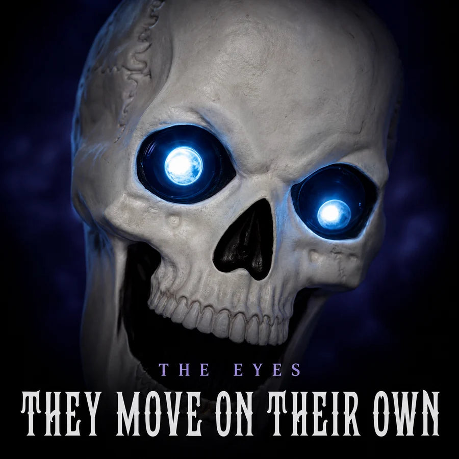 Night macro of the skull, the white point of light in a different place inside each blue eye
