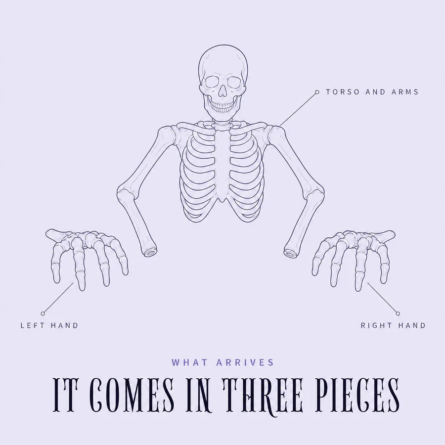 Line drawing on pale lilac: the torso with its arms and the two separate hands, each labelled